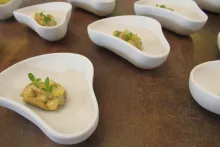 Juniorský národní tým AKC ČR | Slovinsko 2019