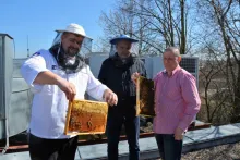 březen 2017 | Gastrostudio | vlastní včely: Marek Svoboda, Radim Kopecký, Augustin Uváčik