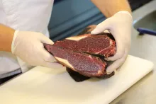 Bizoní maso | Gastrostudio Bidfood