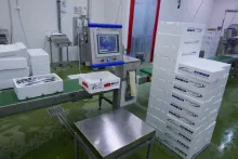 Bidfood Kralupy – čerstvé ryby | první dočasný prostor