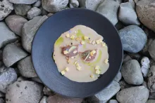 Základy fermentování | Tatarák s kávou v mléce z kešu oříšků a s olivovým krémem