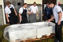 Fresh Fish Service | Halibut atlantický