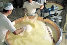 Latteria Soresina | Grana Padano