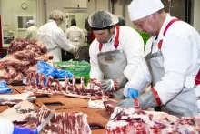 20 let masa Gurmet | Provoz Opava