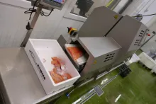 Bidfood Kralupy – čerstvé ryby | krájecí kalibrovací zařízení Marel