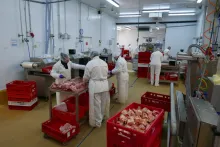 Gurmet | zpracovna masa | Kralupy