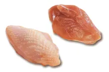 Křepelka | prsní řízky | 200910