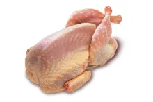 Křepelka | 200905, 256201