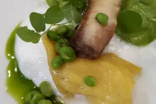 Kuchař roku 2019 | předkrm ze sumečka afrického