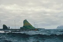 Hiddenfjord | Losos obecný, Faerské ostrovy – Tindhólmur