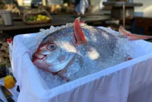 Restaurace Al Mulino | Moonfish