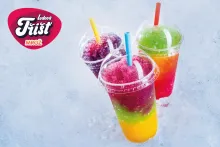 Mrož | Ledová tříšť