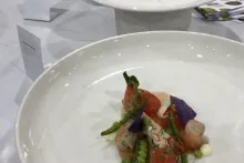 Národní tým kuchařů a cukrářů AKC ČR v Singapuru 2018