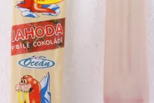 1998 | Mrož v bílé polevě Oceán