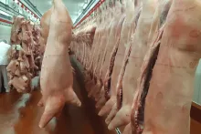 Gurmet a Petron | zpracovna masa a zvěřiny | Opava