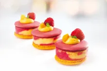 Prima | Ice Cream Desserts Premium – Macarons