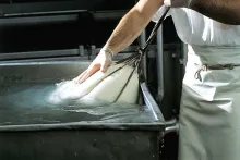 Latteria Soresina | Provolone