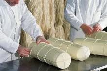 Latteria Soresina | Provolone