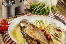 Nowaco | Pstruh pečený s fenyklem