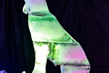 Pustevny | Ledové sochy 2022