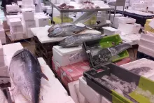 Návštěva rybího trhu Rungis