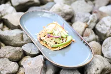 Salpicon de pollo (salát z trhaného kuřecího masa, rajčat, červené cibule, mrkve, oregana, koriandru, okurky, limetové šťávy a olivového oleje)