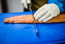 Trnečka Smoked Fish | uzené ryby