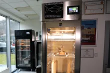 Zrání masa a ryb metodou Cuomo