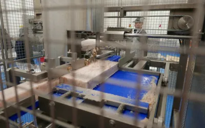 2017 | Bidfood Kralupy | řezací linka rybích bloků