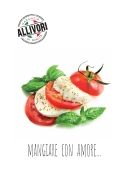 Katalog Allivori – italský sortiment 2020