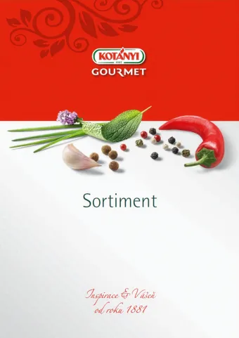 Kotanyi Katalog 2026