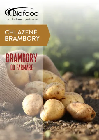 Katalog Chlazené brambory 2026