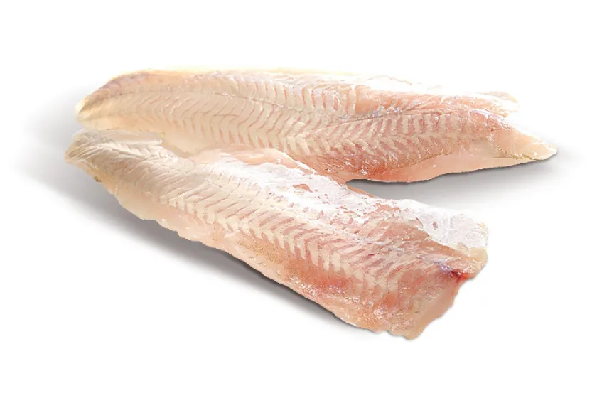 Není štika jako štika