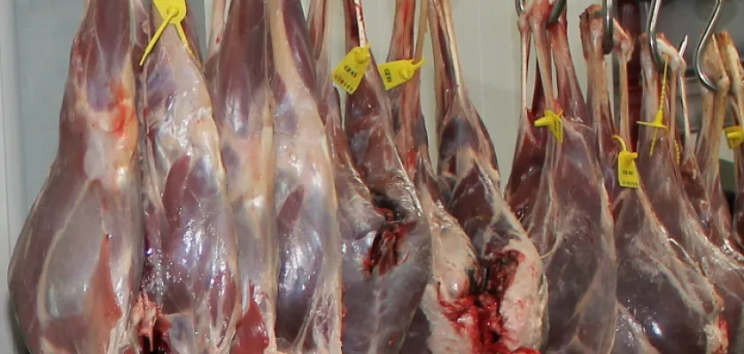 Zvěřina Petron 3 | Zpracování zvěřiny máme pod kontrolou