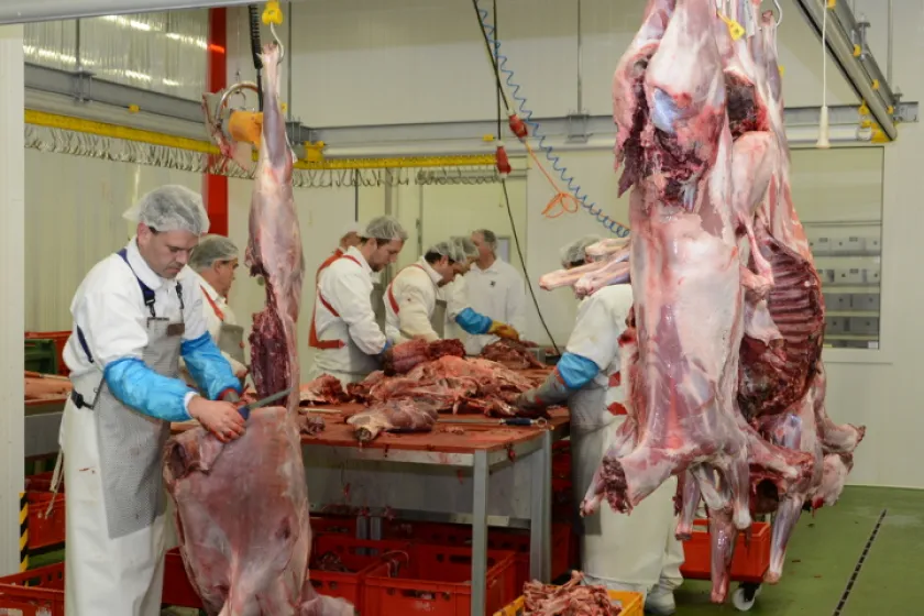 Zvěřina Petron 2 | Rizika a sankce Vám s námi nehrozí