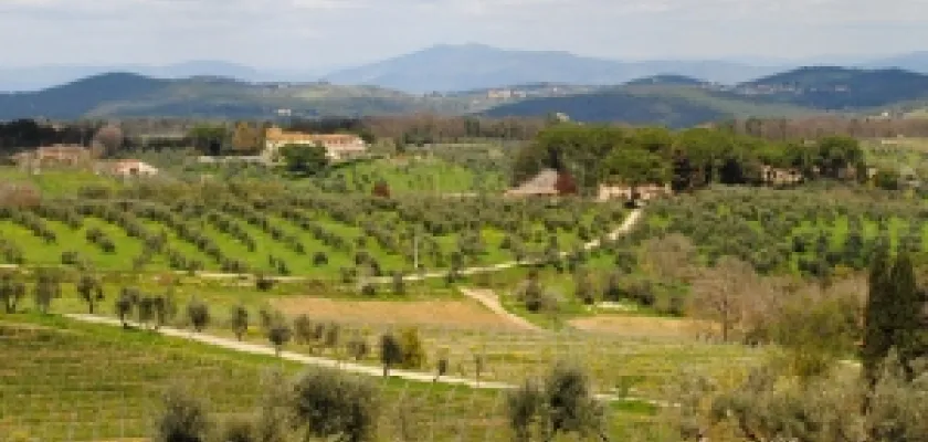 Italská vína | Toskánská vína Passo Carbonaie