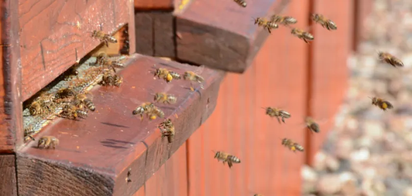 90 000 nových pilných zaměstnanců