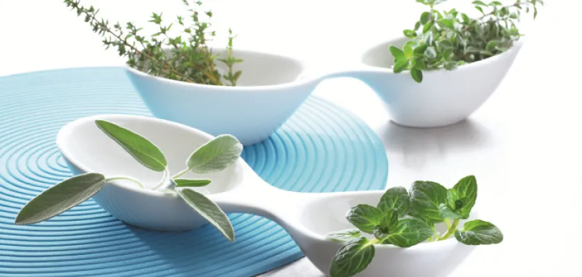 Mrazem sušené byliny rozvoní celou kuchyni