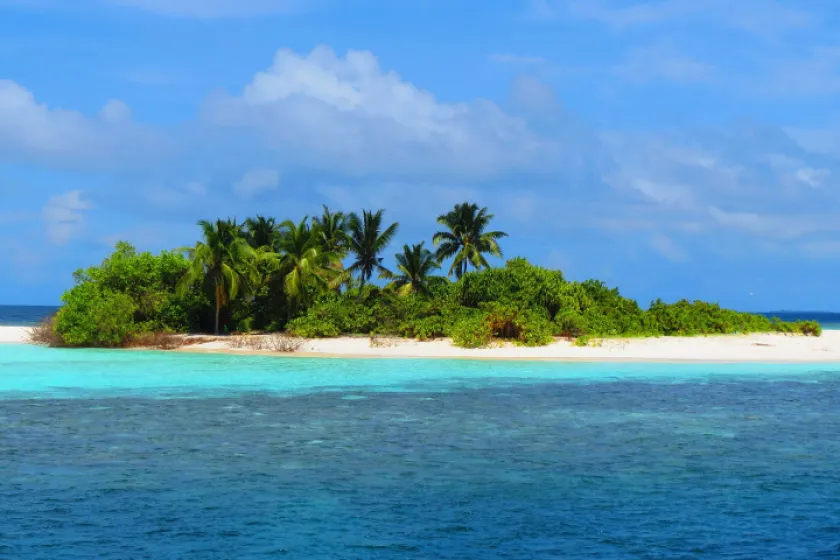 Čerstvý tuňák z Malediv do 36 hodin