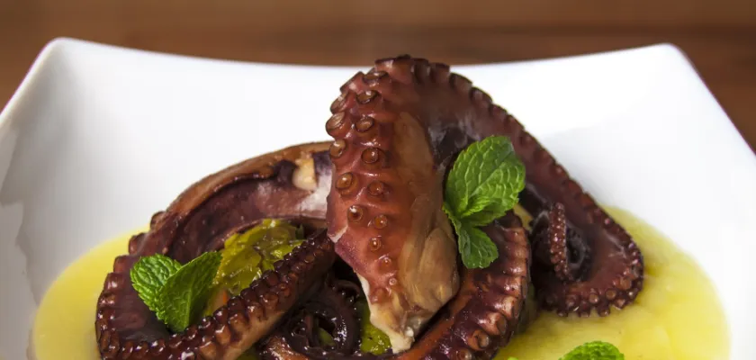 Chobotnice a chobotničky