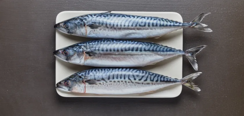 Již pět let Bidfood spolupracuje s vědci na zkoumání genomu