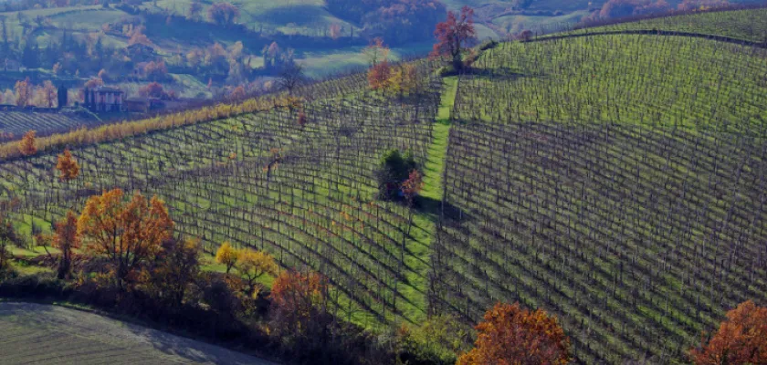 Italská vína | Příjemné perlivé Lambrusco