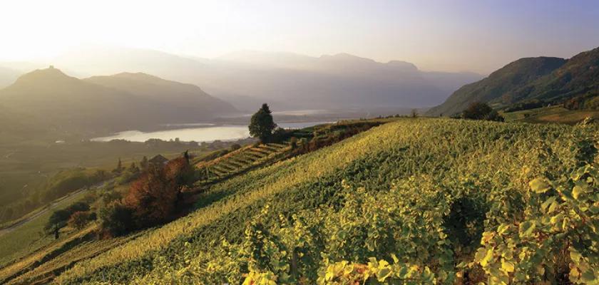 Italská vína | Od alpského jezera Kaltern – Caldaro