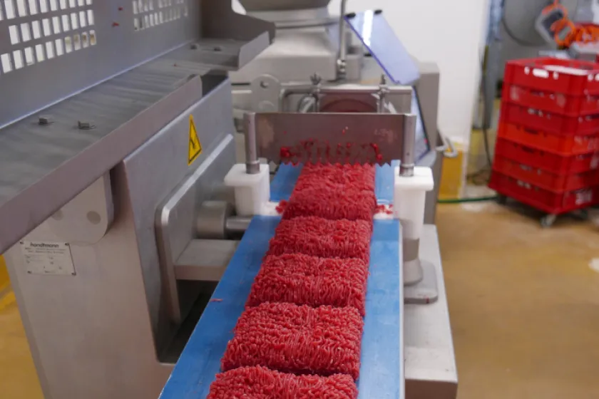 Rozmrazovací stroj a linka na mleté maso