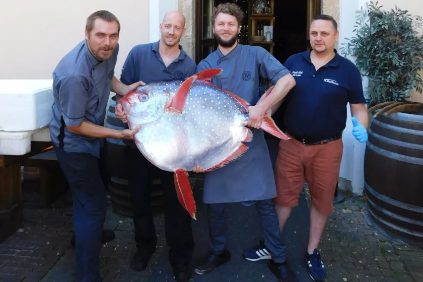 Moonfish – jediná teplokrevná ryba