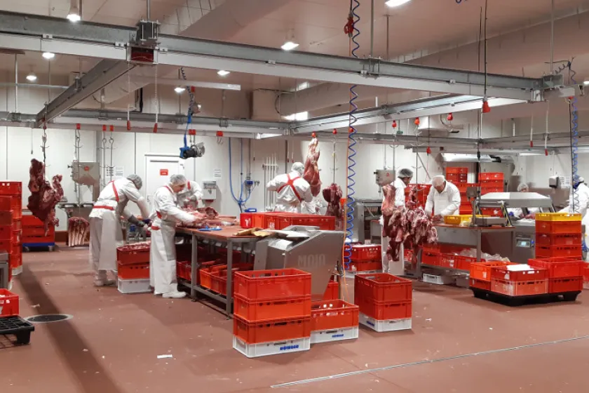 Maso Gurmet a zvěřina Petron expandují