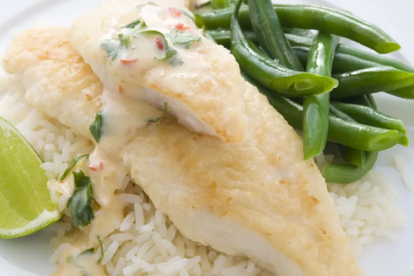 Pangasius podle Nowaco aneb Renesance pangasa