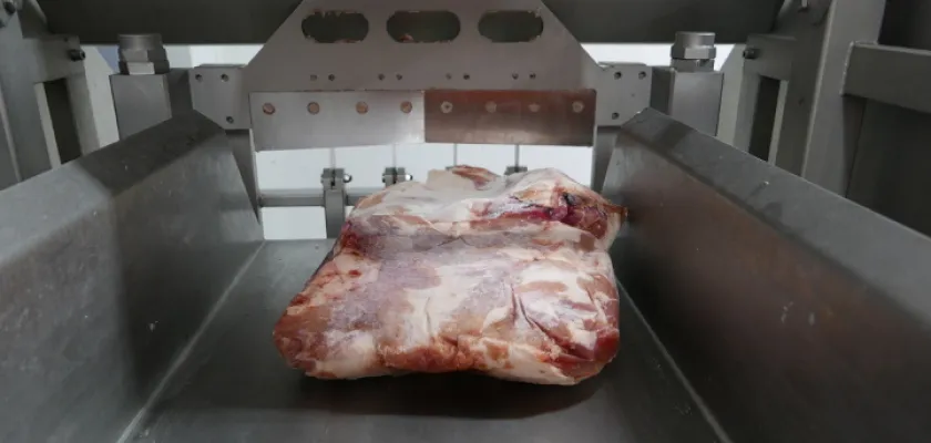 Modernizace technologií zpracovny masa