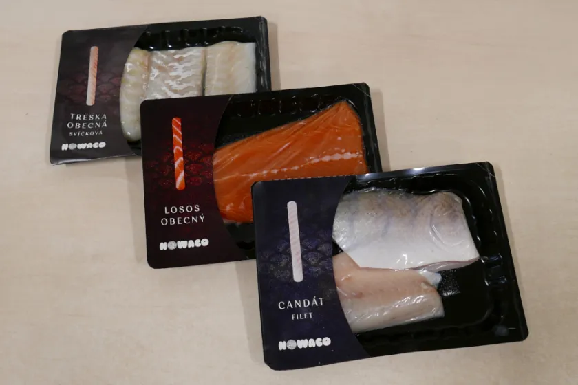 Čerstvé ryby – nové stroje a nový design