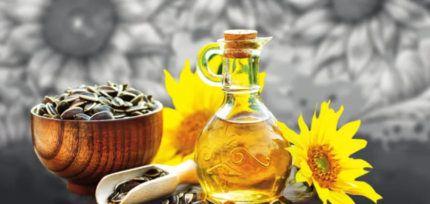 Slunečnicový paradox aneb proč použít na smažení slunečnicový HOSO olej